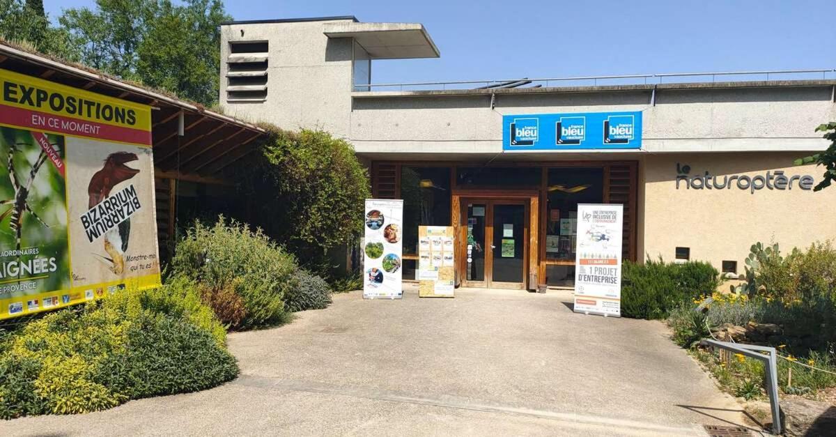 La Grotte Appartement Sérignan-du-Comtat Buitenkant foto